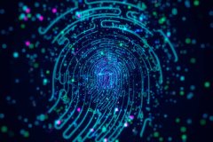 沈阳汪记药品规范经营，医