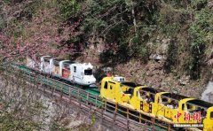 湖南张家界旅游市场持续火